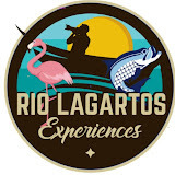 riolagartosexperiences.com