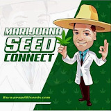 Seed Connect