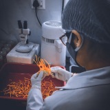 www.harilifesciences.com
