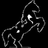 Bonnett's Saddlery - Saddle Fitting, Horse Saddles & Equestrian Equipment Retailer