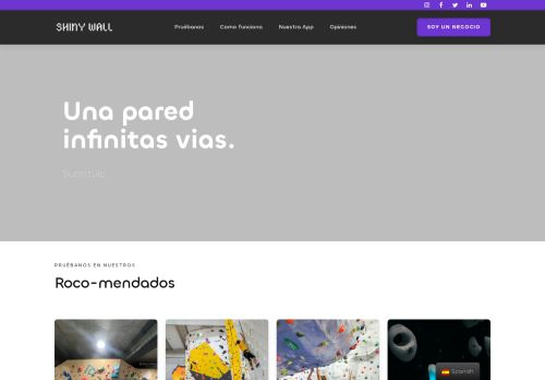www.shinywall.com