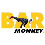 barmonkeycalisthenics.ie