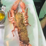 prime259.wpenginepowered.com