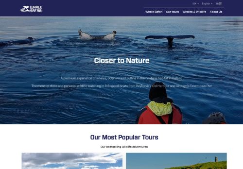 Whale Safari Iceland