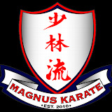 magnuskarate.com