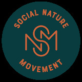 toursxplorer.com/tour/aucklands-north-shore-glowworm-tour