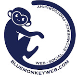 bluemonkeyweb.com