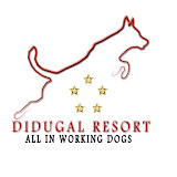 Resort Canino Didugal Reviews