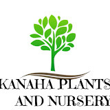www.kanahaplantandnursery.com