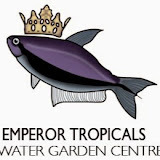 www.emperortropicals.co.uk