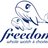 www.freedomwhalewatch.com.au