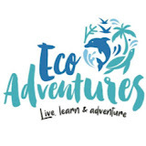 ecoadventurespuertoescondido.com