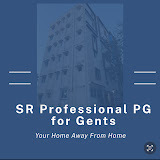 srprofessionalpgforgents.com