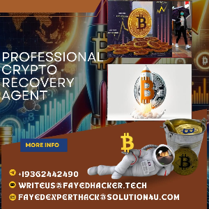 FAYED HACKER: HIRE A CRYPTO RECOVERY SERVICE
