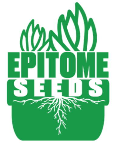 Epitome Seeds