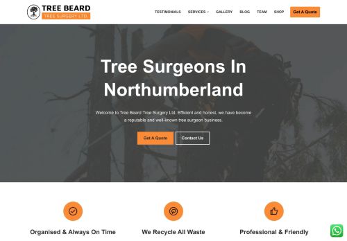 Tree Beard Tree Surgery ltd Reviews 2026 | Trustindex.io - Trustindex.io