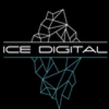 ICE Digital Reviews