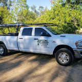 Capital Tree Service | Placer & Sacramento