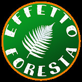 Effetto Foresta