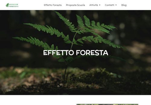 effettoforesta.it