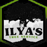 Ilya's tree service