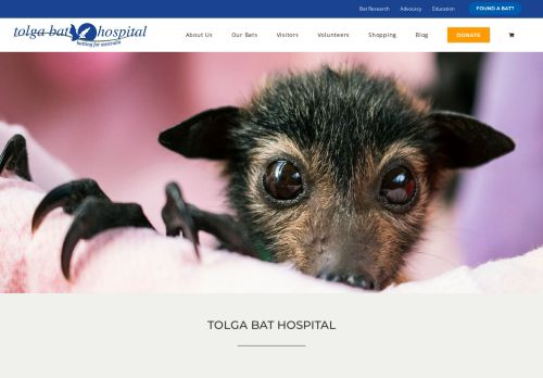 tolgabathospital.org