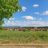 Weingut Schlereth