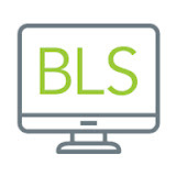 BLS Computer Solutions Limited Reviews