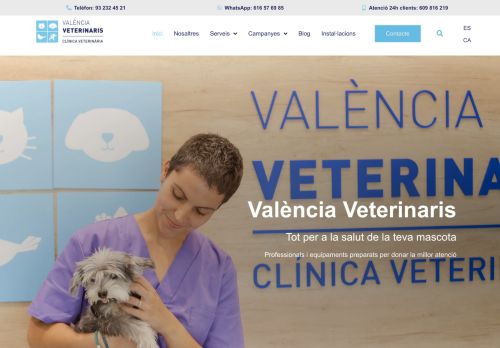 valenciaveterinaris.net