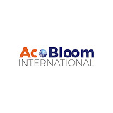 www.acobloom.com/us/services/audit-support-outsourcing