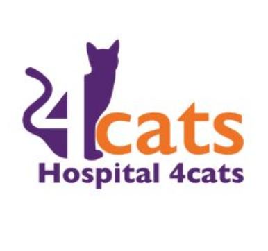 Hospital 4cats Pacaembu