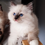 deepskyblue-worm-959787.hostingersite.com