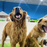 houndstownusa.com/locations/dulles