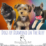 Diamond In The Ruff Mobile Pet Spa