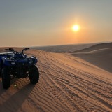 Morning Desert Safari
