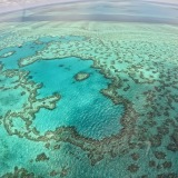 cameronm8.sg-host.com