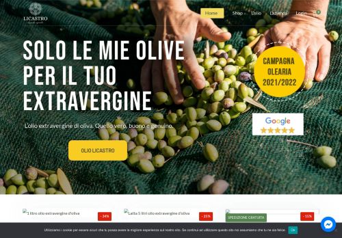 oliolicastro.it