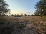 houstoncountymulching.com