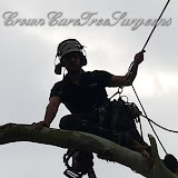 crowncaretreesurgeons.co.uk