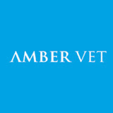 Amber Vet