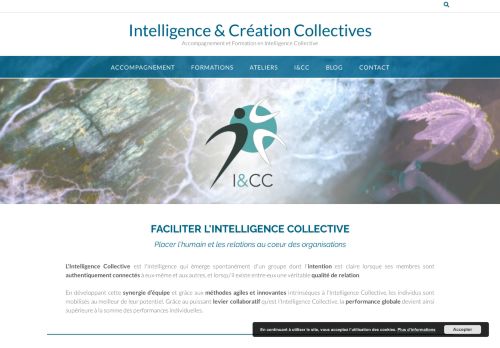 I&CC - Intelligence et Création Collectives