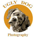 Ugly Dog Photography