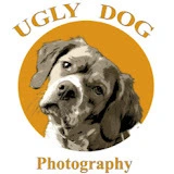 Ugly Dog Photography