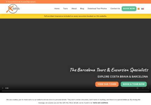 excursionsbarcelona.com