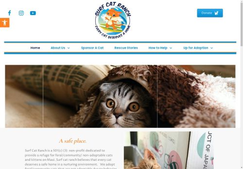 surfcatranchmaui.com