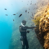 azurfreediving.com