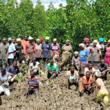 treeadoptionfoundation.org