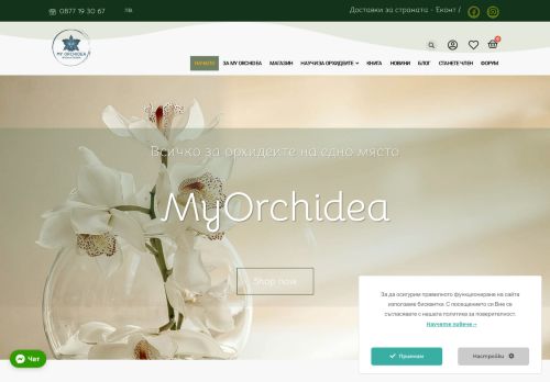 www.myorchidea.com