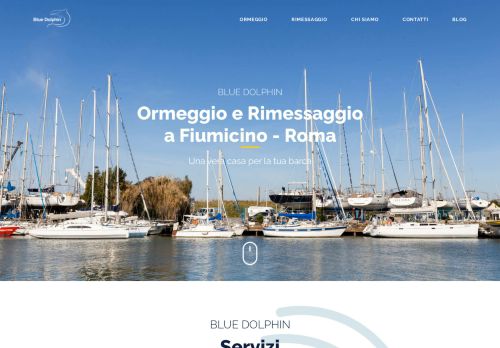www.bluedolphinroma.it