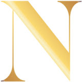 neinsteinplasticsurgery.com